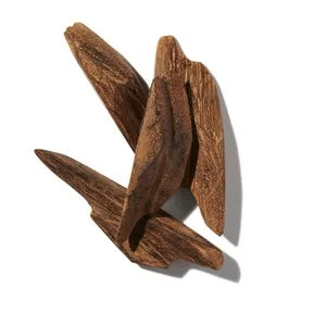 Agarwood (Trầm hương)