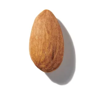 Almond (Hạnh nhân)