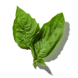 Basil (Húng Quế)