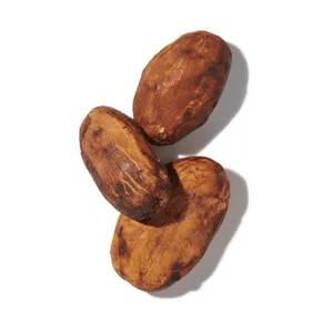Cocoa bean (Hạt cacao)