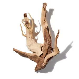 Driftwood (Gỗ dạt)
