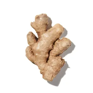 Ginger (Gừng)