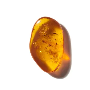 Resinoid (Nhựa cây)